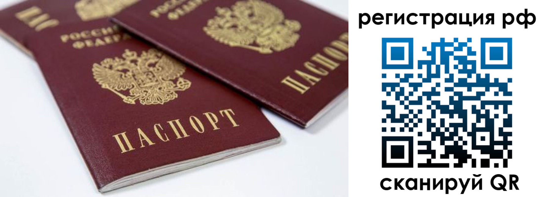 прописка регистрация в Коле